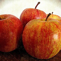 Buy canvas prints of  apples by dale rys (LP)