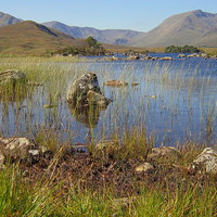 Buy canvas prints of  scenic highlands by dale rys (LP)