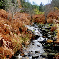 Buy canvas prints of  highland landscape   by dale rys (LP)