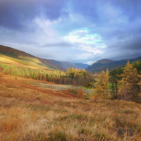 Buy canvas prints of  highland landscape     by dale rys (LP)