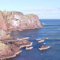 Buy canvas prints of  st abbs head by dale rys (LP)