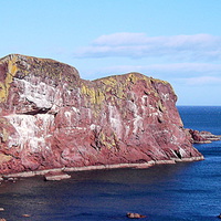 Buy canvas prints of  st abbs head  by dale rys (LP)