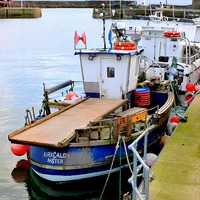 Buy canvas prints of  anstruther harbor by dale rys (LP)