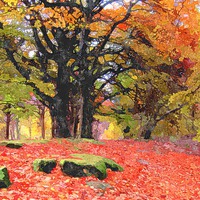 Buy canvas prints of  scottish fall by dale rys (LP)
