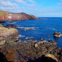 Buy canvas prints of  st.abbs head,scotland    by dale rys (LP)
