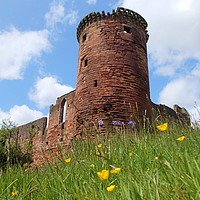 Buy canvas prints of bothwell castle by dale rys (LP)