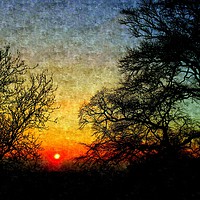 Buy canvas prints of SUNSET by dale rys (LP)