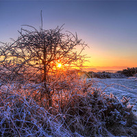 Buy canvas prints of Frosty Morning by Paul McKenzie