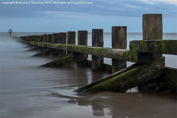 Groynes at Aberdeen Beach Picture Board by Michael Moverley