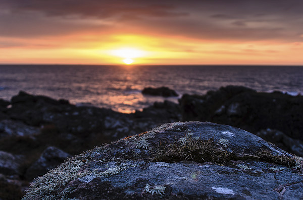 Aberdeen Coast Sunrise Picture Board by Michael Moverley