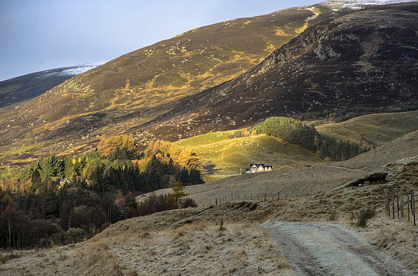 Autumn at Spittal of Glenshee Picture Board by Michael Moverley