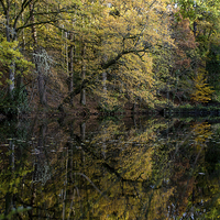 Buy canvas prints of Autumn reflections at Crathes Castle, Banchory Sco by Michael Moverley
