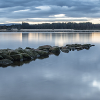 Buy canvas prints of Sunrise reflections at Loch of Skene by Michael Moverley