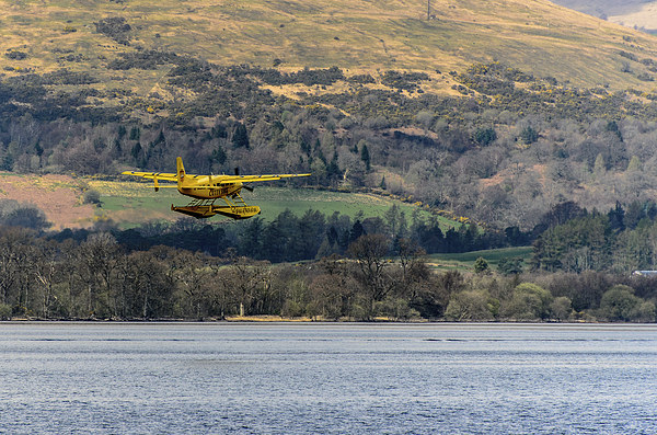 Sea Plane at Loch Lomond Picture Board by Michael Moverley