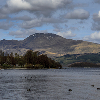 Buy canvas prints of Spring on Ben Lomond by Michael Moverley
