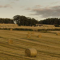 Buy canvas prints of  Haybales in the Sun by Michael Moverley