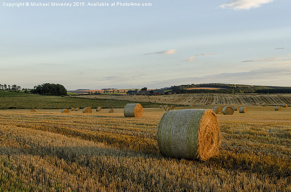Sunset in Aberdeenshire Picture Board by Michael Moverley