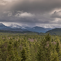 Buy canvas prints of Snow Capped Cairngorm Mountains by Michael Moverley
