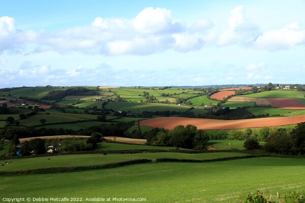 Devon Countryside Picture Board by Debbie Metcalfe