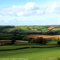 Buy canvas prints of Devon Countryside by Debbie Metcalfe