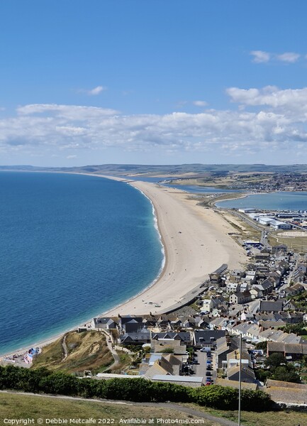 Chesil Beach Picture Board by Debbie Metcalfe