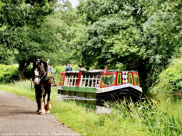 Horse-Drawn barge  Picture Board by Debbie Metcalfe