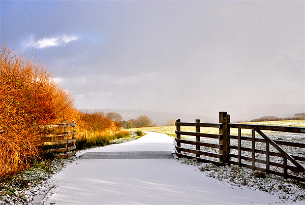 Exmoor in the Snow Picture Board by Debbie Metcalfe