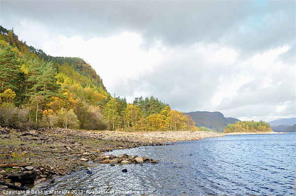 View of Thirlmere, Cumbria Picture Board by Debbie Metcalfe