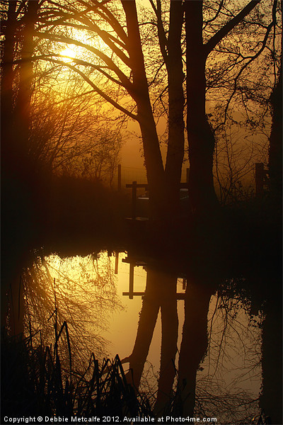 Sunrise with reflections Picture Board by Debbie Metcalfe