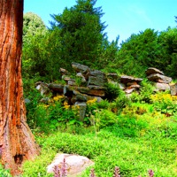 Buy canvas prints of Landscape with Rocks and Trees by Stephen Conroy