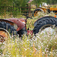 Buy canvas prints of Tractor in field by Patti Barrett
