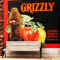 Buy canvas prints of Grizzley Bear Park Bench by Patti Barrett