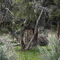 Buy canvas prints of Outhouse in the woods by Patti Barrett