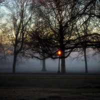 Buy canvas prints of Morning Fog by William Battle