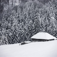 Buy canvas prints of Wooden house in the snow by Cristian Mihaila