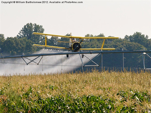 Crop Duster & Sprinkler Picture Board by Beach Bum Pics