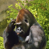 Buy canvas prints of  The Thinker by Beach Bum Pics