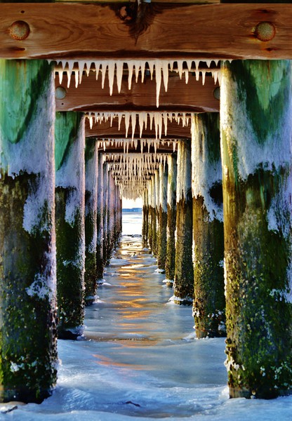 Pier with Teeth Picture Board by Beach Bum Pics