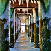 Buy canvas prints of Pier with Teeth by Beach Bum Pics