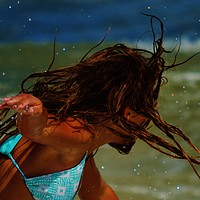 Buy canvas prints of Wild One by Beach Bum Pics