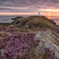 Buy canvas prints of Stumble Head Sunset by Jed Pearson