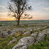 Buy canvas prints of Malham Sunset by Jed Pearson