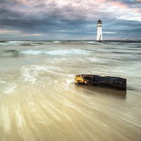 Buy canvas prints of Driftwood by Jed Pearson
