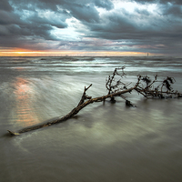 Buy canvas prints of Driftwood sunset by Jed Pearson