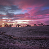 Buy canvas prints of Cheshire Dawn by Jed Pearson