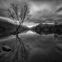 Buy canvas prints of  Dark Reflections by Jed Pearson
