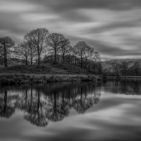 Buy canvas prints of Elterwater Reflections by Jed Pearson