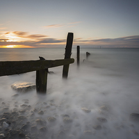 Buy canvas prints of  Pebbles and Mist by Jed Pearson