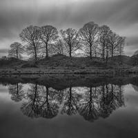 Buy canvas prints of Elterwater Trees  by Jed Pearson
