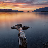 Buy canvas prints of Derwent Driftwood by Jed Pearson